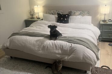 Should I add art above the bed? It feels like it's missing something