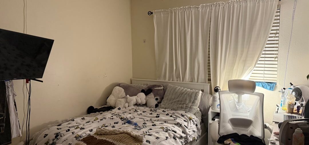 Where can i put my shelves?