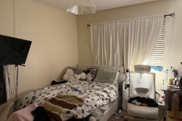 Where can i put my shelves?