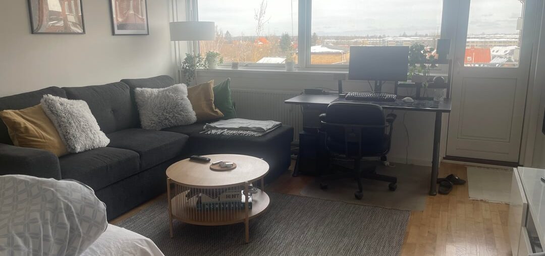 How do I make this small 1-room appartment more cozy