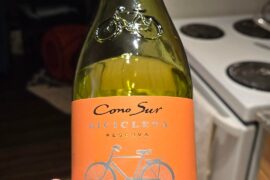 Crisp and Light Chile Wine- Tipsy Off 1 Glass