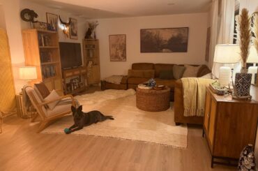 Just moved - paint or leave it white?