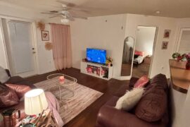 1st apartment at 29 💖 help me please 🙏🏾