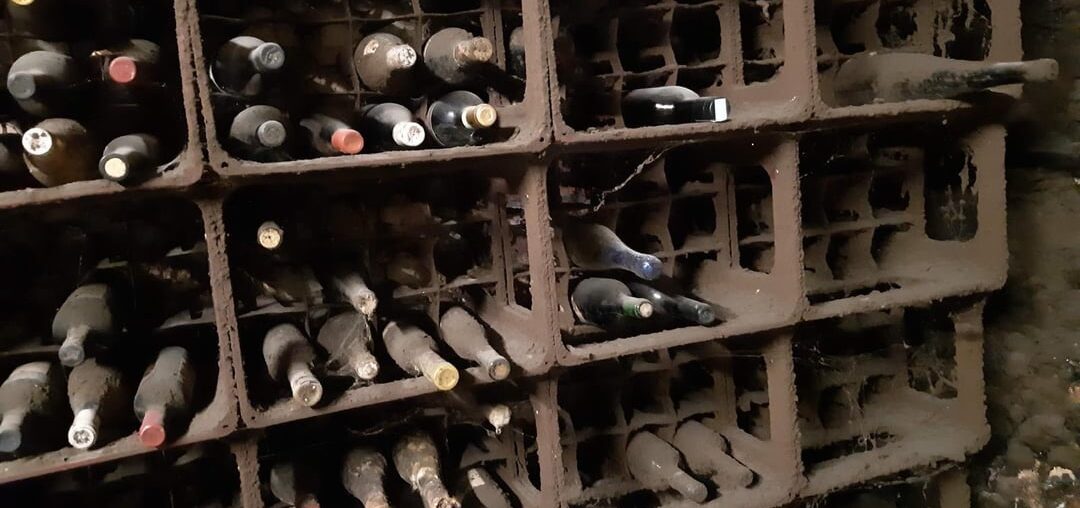 🍷 Found old bottles in a private wine cellar – stored horizontally for decades. Any chance they survived?