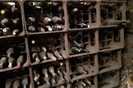 🍷 Found old bottles in a private wine cellar – stored horizontally for decades. Any chance they survived?
