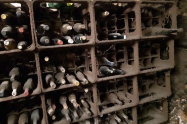 🍷 Found old bottles in a private wine cellar – stored horizontally for decades. Any chance they survived?