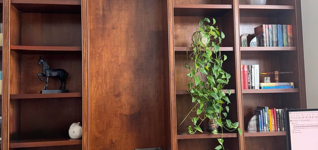 Advice with built-in bookshelf