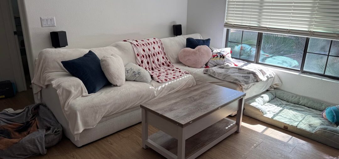 Living room rug shape & color recommendations?