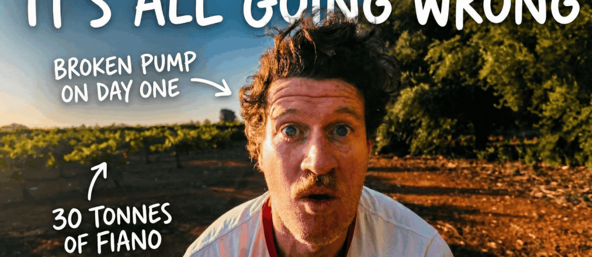 Our pump seized on the first day of vintage — here's what the first week of harvest actually looks like