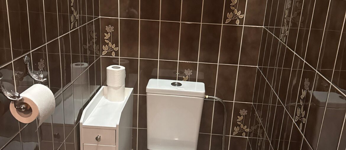Help needed with small toilet