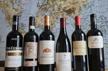 Cellar worthy wines?