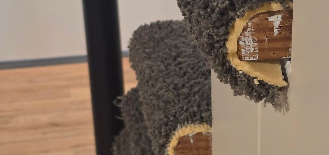 How can I hide the backs of these stairs? How can I hide the backs of these stairs?