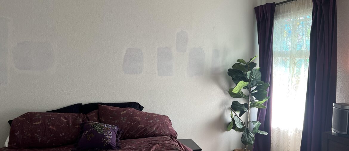 paint colors and wall decor ideas