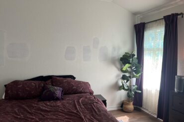 paint colors and wall decor ideas