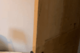 Room advice re: decor greatly appreciated