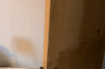 Room advice re: decor greatly appreciated