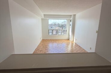 HELO ME DECORATE MY FIRST APARTMENT!