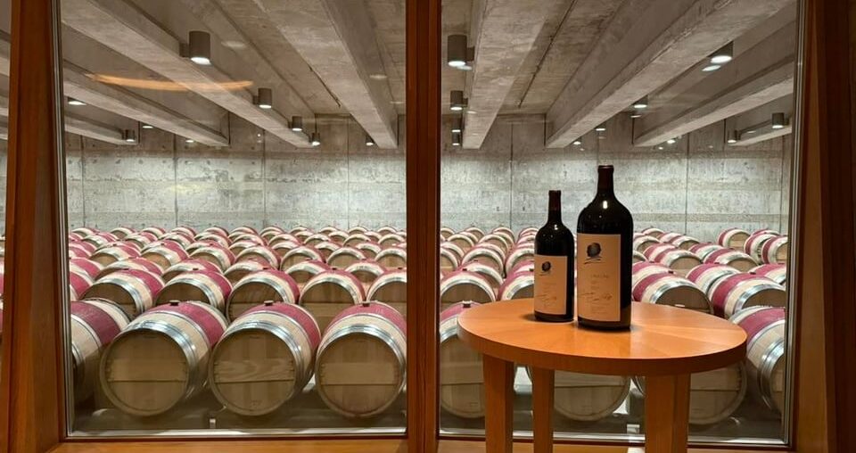 Opus One is polarizing… so I tasted 2012 vs 2019 vs 2022. Roast my notes.