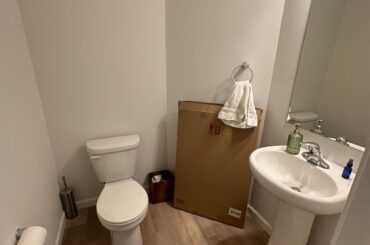 Bathroom wallpaper yay!