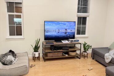 What type of curtains? Help with rug