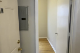 Just signed this Chicago apartment. Would love decorating/layout advice before I buy furniture