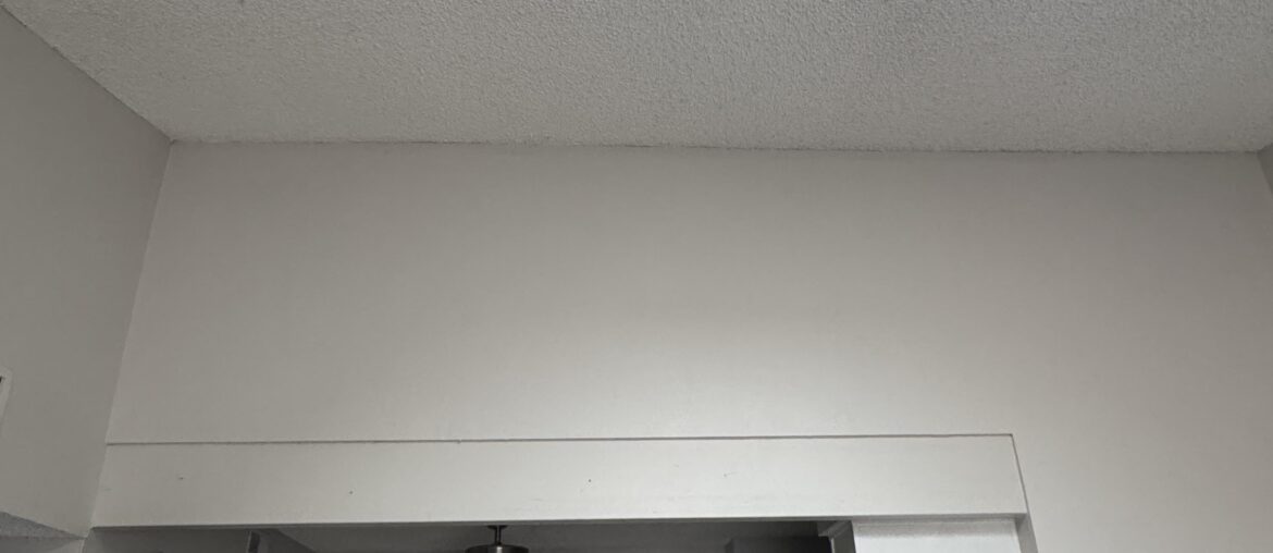 What should I decorate this large wall with?