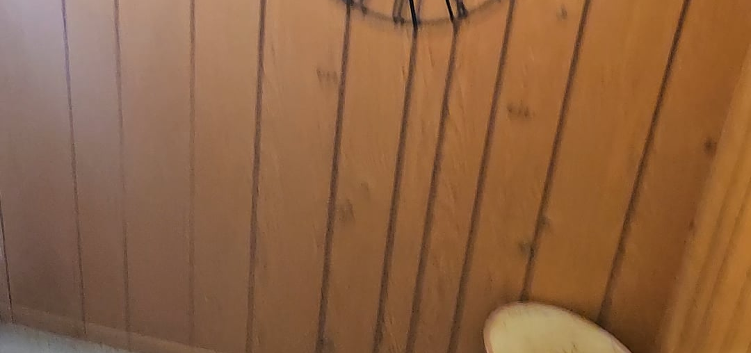 Looking for paint color ideas for the walls and possibly ceiling.