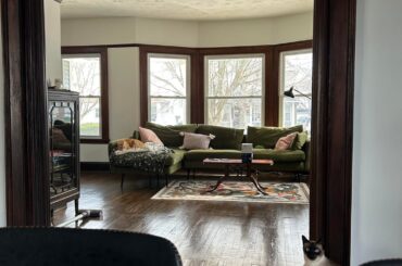 More window treatment help.