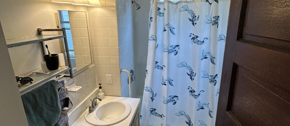 New bathroom tile flooring