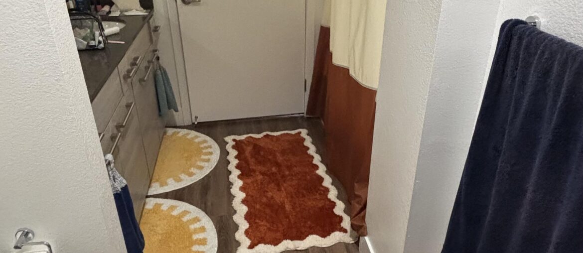 Struggling with the bathroom textile colors and bath mat situation