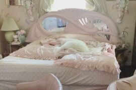 Furniture Online Like 80s Italian Postmodern?