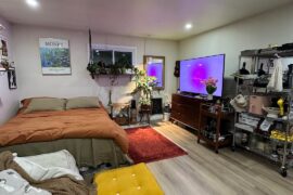 Studio Apartment Decor Suggestions