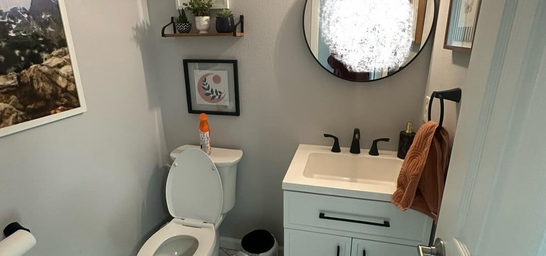 Help me pick half bath accent color and paint color