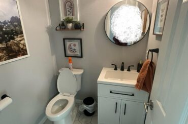 Help me pick half bath accent color and paint color