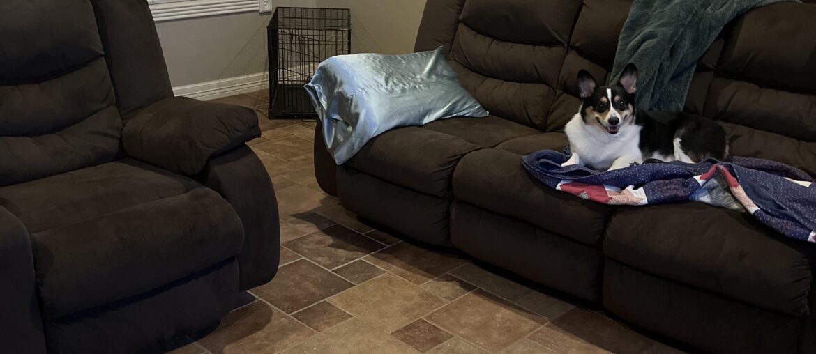 Help us pick out a rug