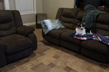 Help us pick out a rug