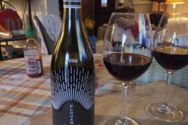 Elouan Pinot 2022