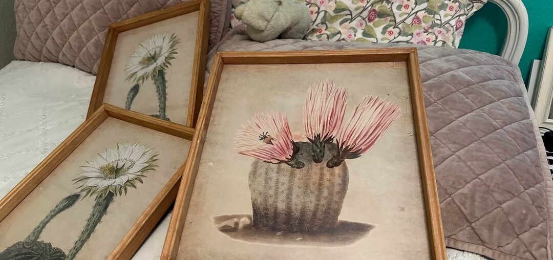 Need paint color advice for accent wall