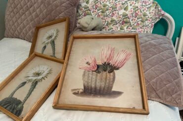 Need paint color advice for accent wall