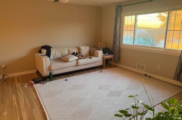 Working with a blank canvas - need inspiration!