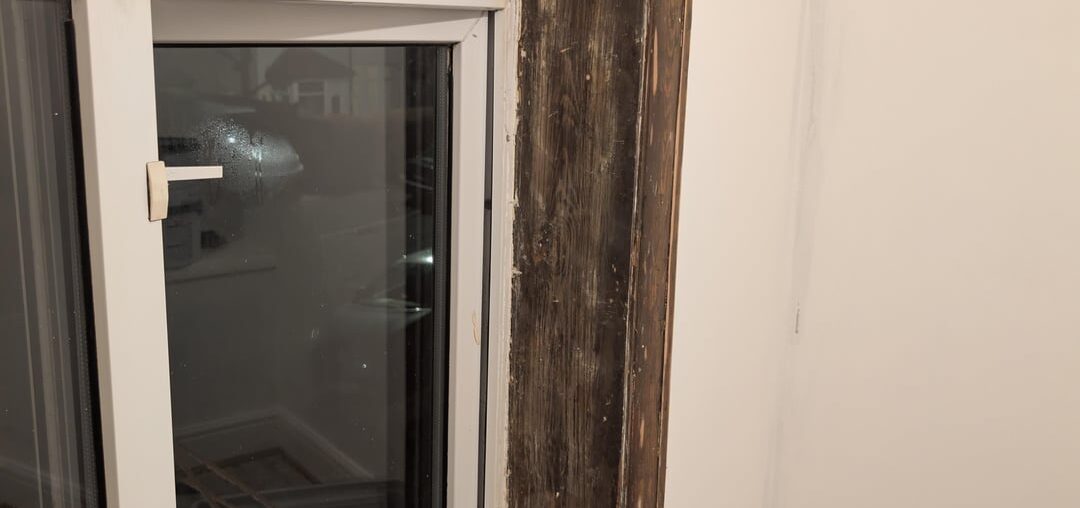 Zinsser Bulls eye or B.I.N Zinsser Bulls eye or B.I.N