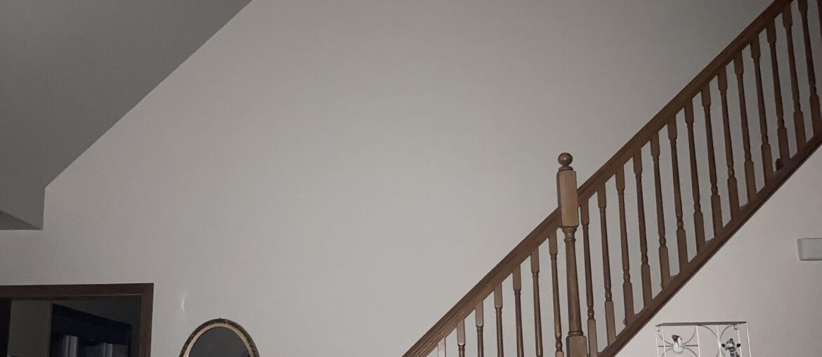 This huge wall going up the stairs is so... plain. Is there anything that I could do to make it interesting?