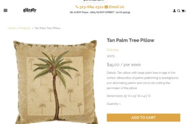 Looking for pillows I bought at BBB over 20 years ago. So I did a search for them and I found them on a website that rents TV props?