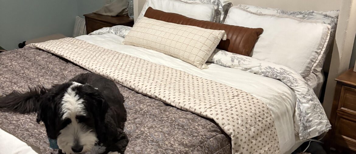 Help with Bedding Design