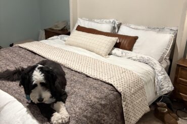 Help with Bedding Design