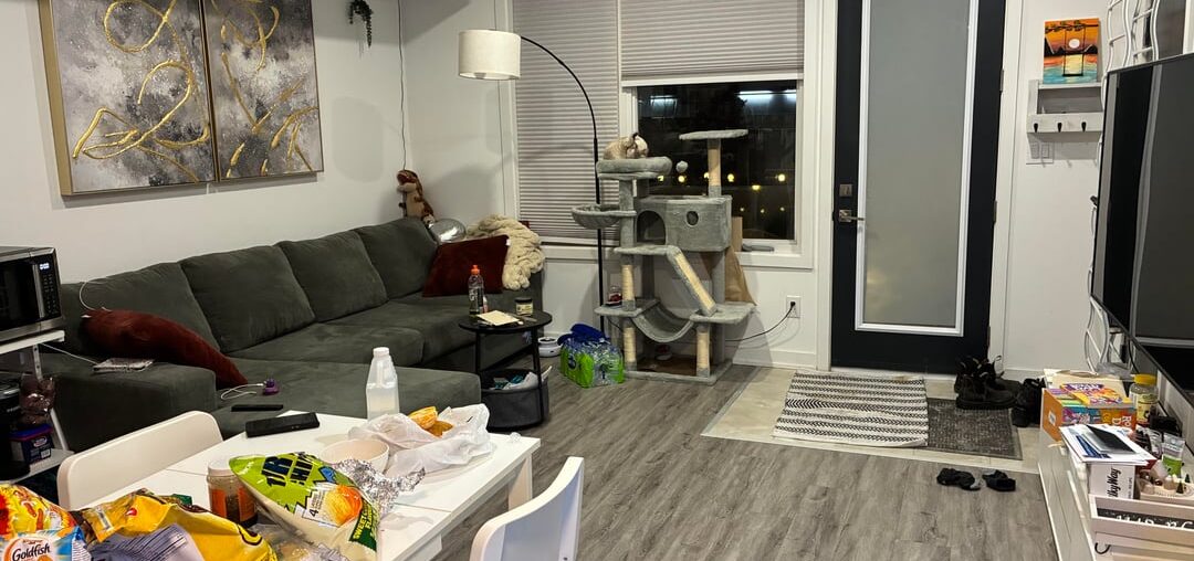 Please help me with improving my living room.