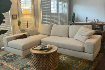 Back with more colorful rug options