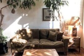 Looking for similar style couches