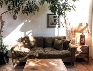Looking for similar style couches