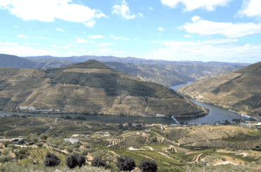 Visiting the Douro Valley - where to stay and taste